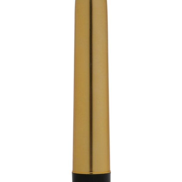 Vibromasseur Golden Boy – Dorcel