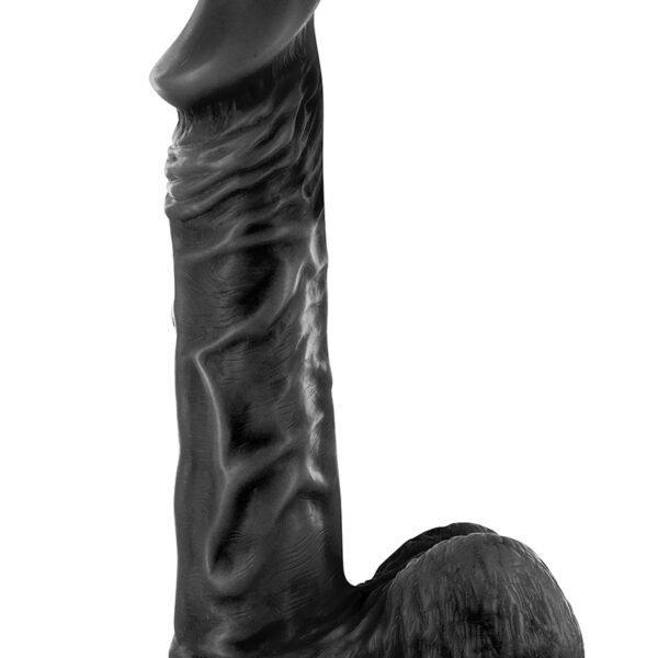 Gode réaliste 21 cm – Real Jayson Noir