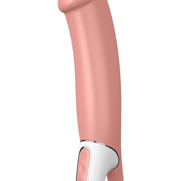 Vibromasseur Master – Satisfyer