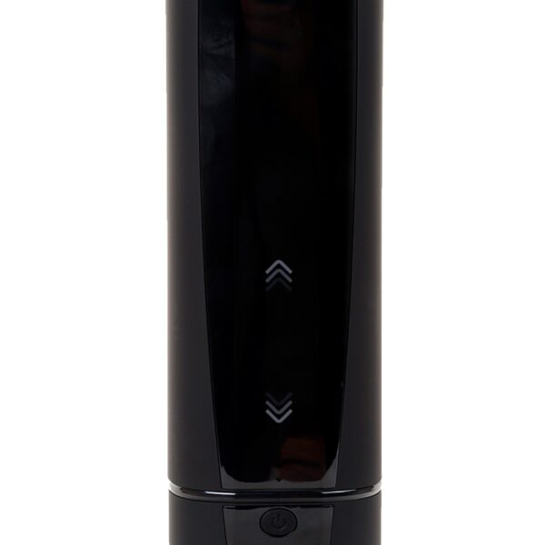 Masturbateur connecté Kiiroo Onyx +