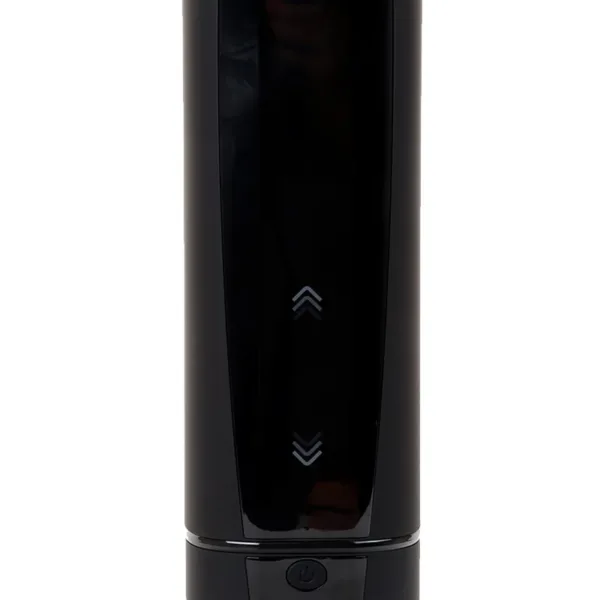 Masturbateur connecté Kiiroo Onyx +