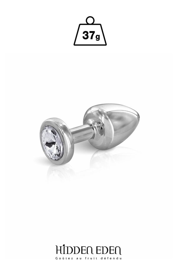 Plug bijou aluminium XS – Hidden Eden - 94edenstreet.com - sexshop en ligne