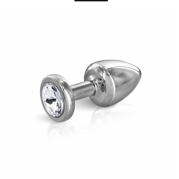 Plug bijou acier XS – Hidden Eden