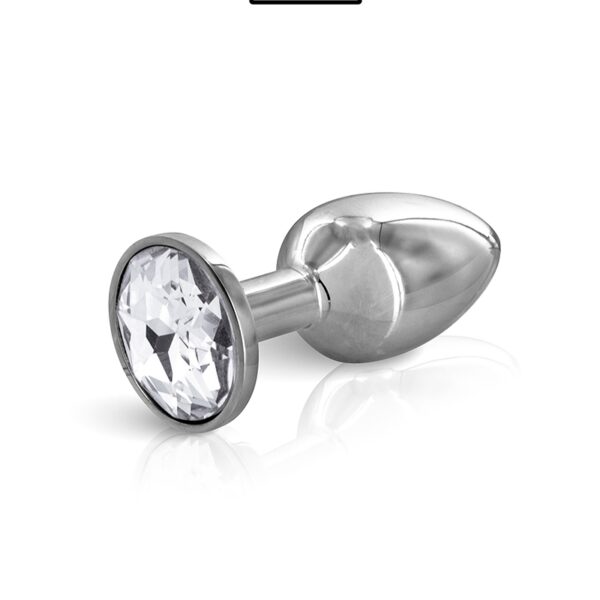 Plug bijou acier S – Hidden Eden