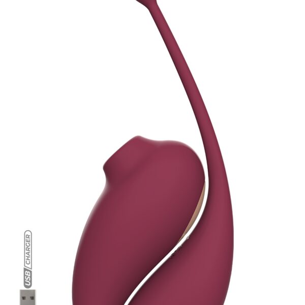 Oeuf vibrant et stimulateur clitoridien connectés – Inspiration