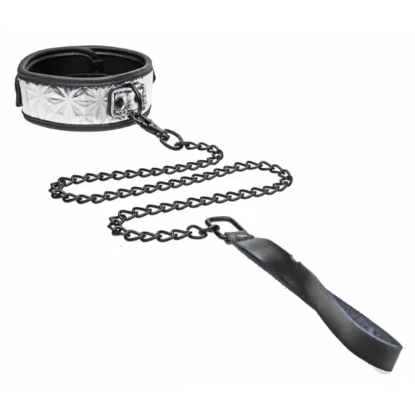 Collier argenté avec laisse – Master Series