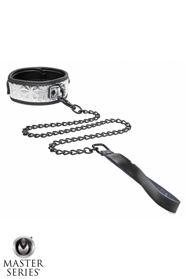 Collier argenté avec laisse – Master Series - 94edenstreet.com - sexshop en ligne