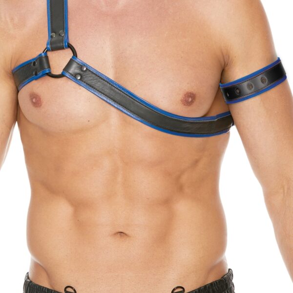 Harnais Gladiator bleu et noir – Ouch!