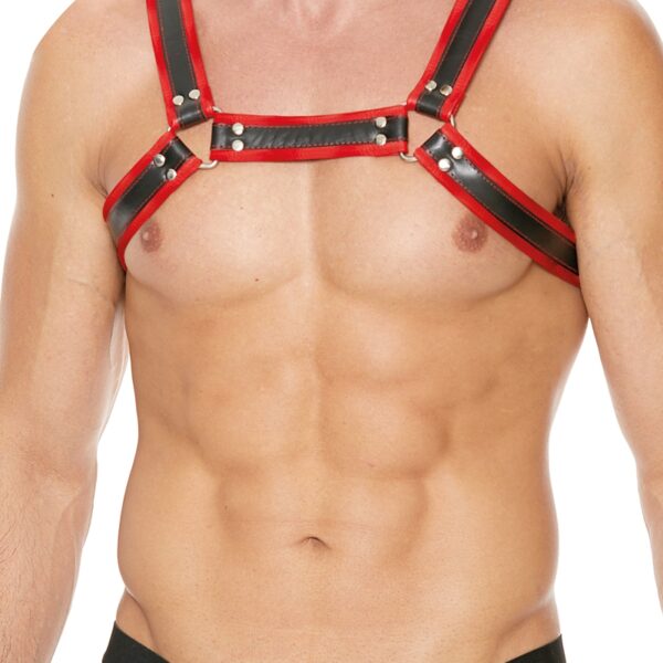 Harnais Buckle Bulldog rouge – Ouch!