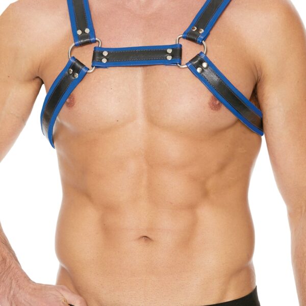 Harnais Buckle Bulldog bleu – Ouch!