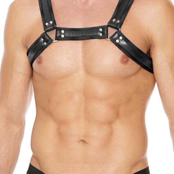 Harnais Buckle Bulldog noir – Ouch!