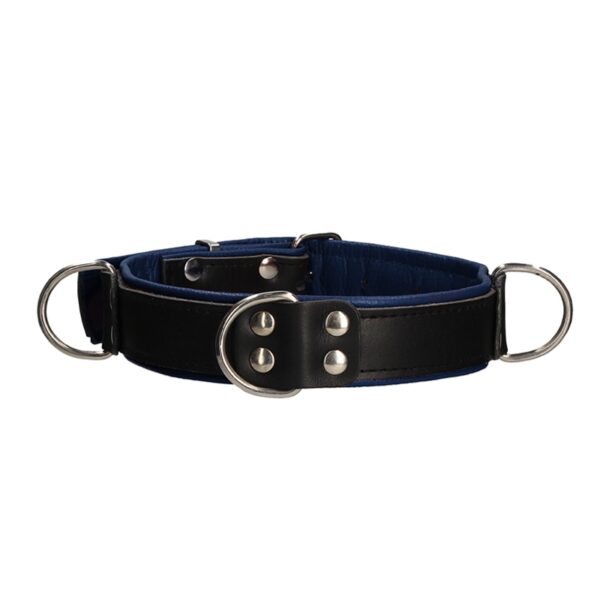 Collier Bondage Deluxe bleu et noir – Ouch!