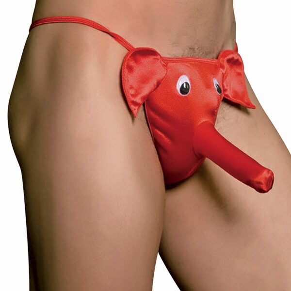 cache sexe éléphant