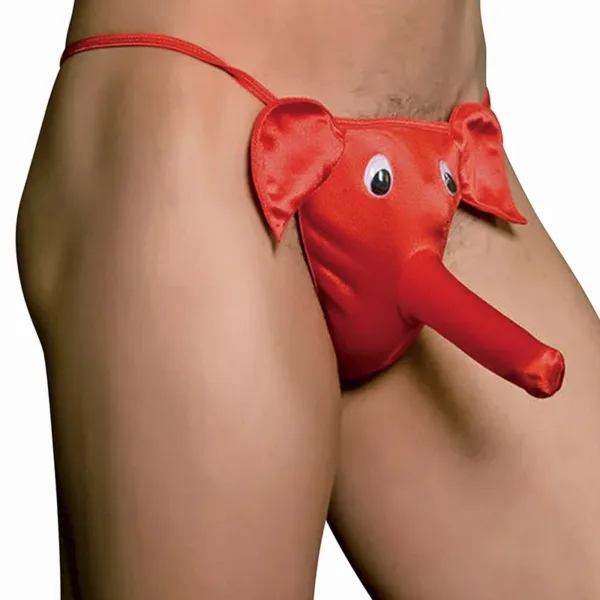 cache sexe éléphant