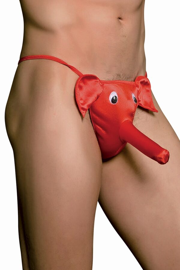 cache sexe éléphant - 94edenstreet.com - sexshop en ligne