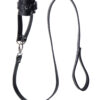 Ball Stretcher et laisse – Strict - 94edenstreet.com - sexshop en ligne