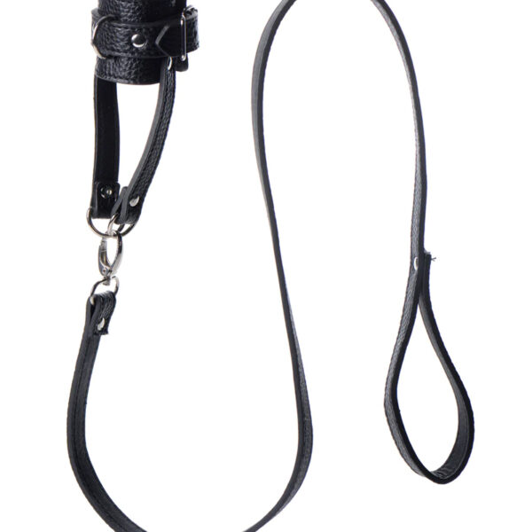 Ball Stretcher et laisse – Strict
