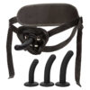 Harnais Boundless Curve Pegging Kit - 94edenstreet.com - sexshop en ligne