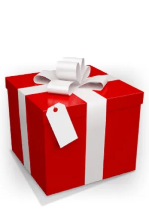 Emballage cadeau - 94edenstreet.com - sexshop en ligne