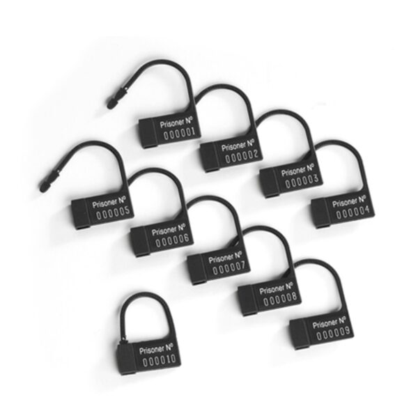 Scellés plastiques pour cage Pubic Enemy – Mystim