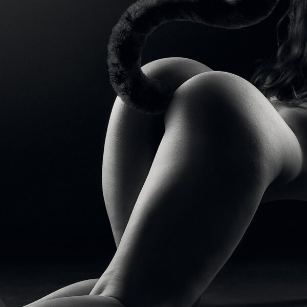 Plug noir queue de chat – Sweet Caress