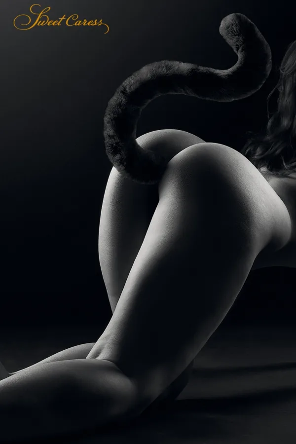 Plug noir queue de chat – Sweet Caress - 94edenstreet.com - sexshop en ligne