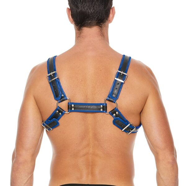 Harnais Buckle Bulldog bleu – Ouch!