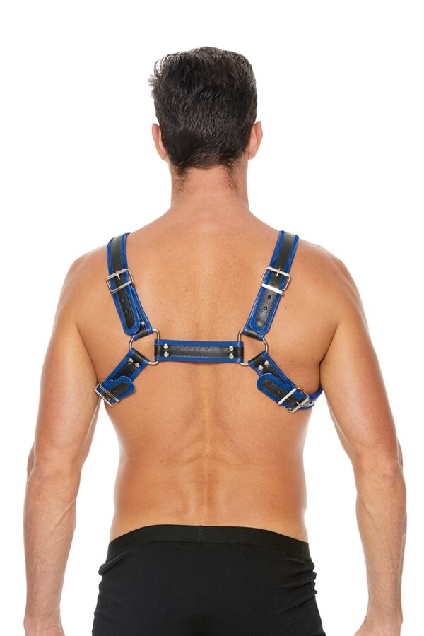 Harnais Buckle Bulldog bleu - Ouch! – Image 2