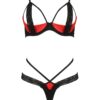 Bikini sexy Femmina - Passion – Image 2