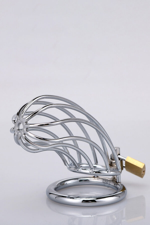 Cage à pénis Banana Shape – XXX Dreamtoys - 94edenstreet.com - sexshop en ligne