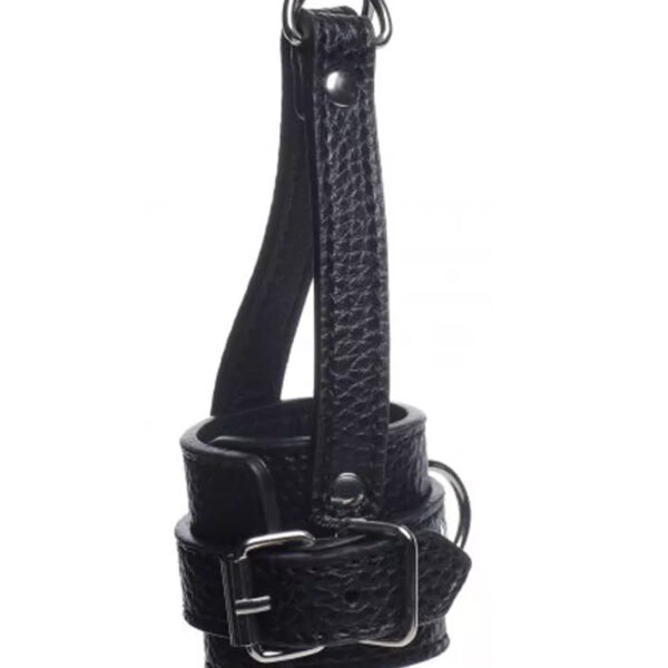 Ball Stretcher et laisse – Strict