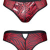Slip type brésilien zébré rouge et noir – Regnes - 94edenstreet.com - sexshop en ligne
