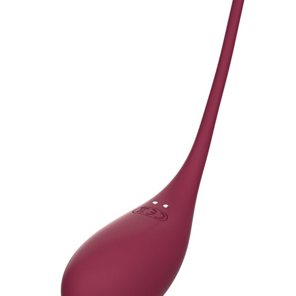 Oeuf vibrant et stimulateur clitoridien connectés – Inspiration