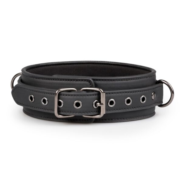 Collier fétichiste et laisse – Easytoys Fetish Collection