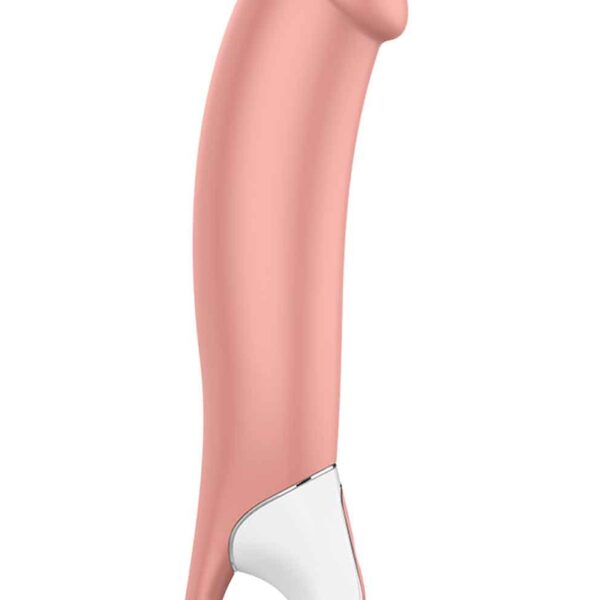Vibromasseur Master – Satisfyer