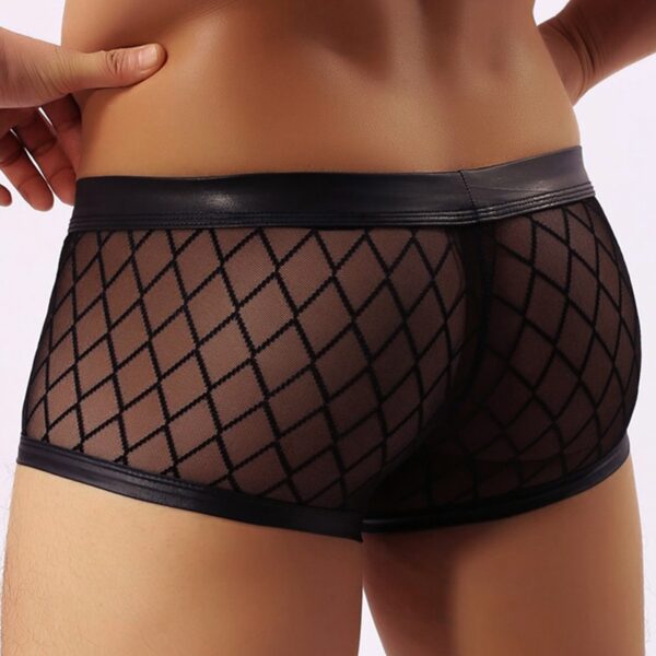 Boxer noir transparent
