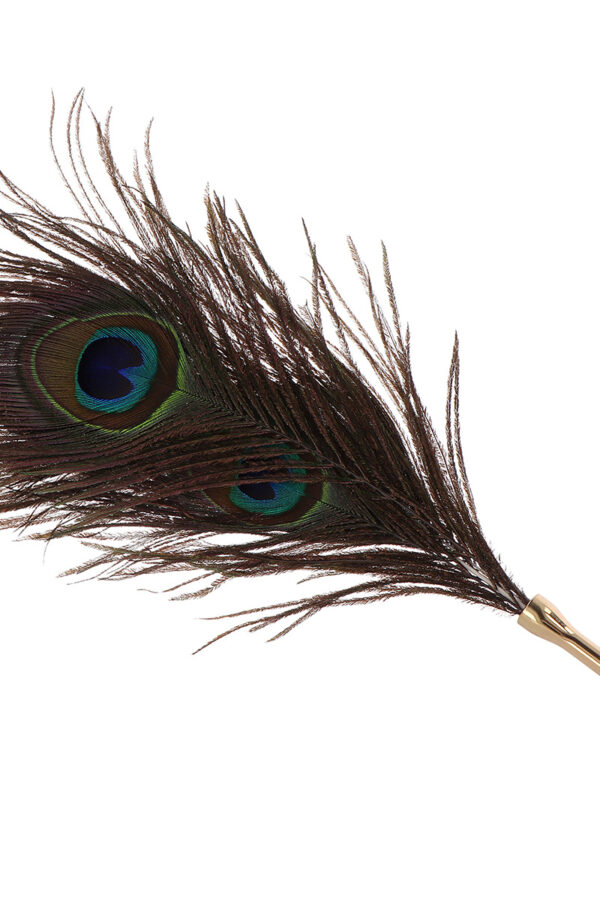 Plumeau à caresses Peacock Tickler – Taboom - 94edenstreet.com - sexshop en ligne