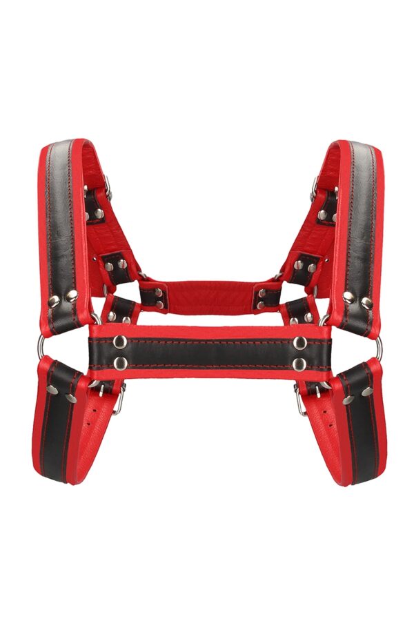 Harnais Buckle Bulldog rouge - Ouch! – Image 3