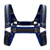Harnais Buckle Bulldog bleu – Ouch! - 94edenstreet.com - sexshop en ligne