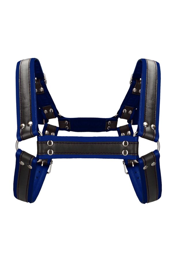 Harnais Buckle Bulldog bleu - Ouch! – Image 3
