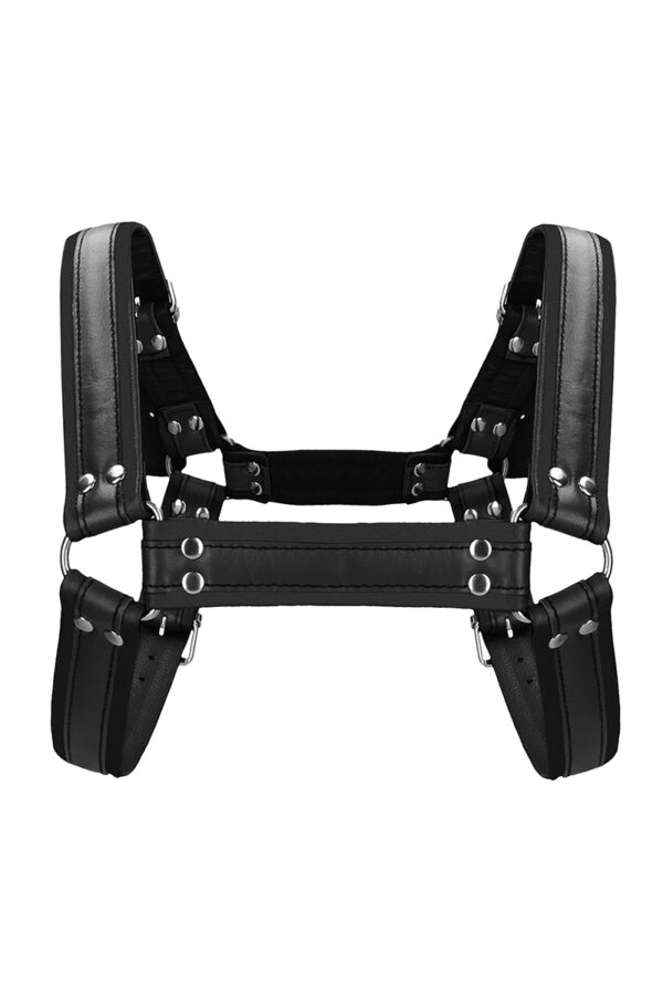 Harnais Buckle Bulldog noir - Ouch! – Image 3