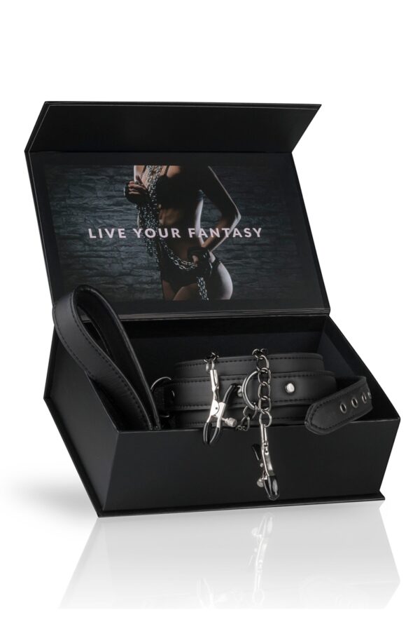 Collier cuir avec chaînes de seins - Easytoys Fetish Collection – Image 4
