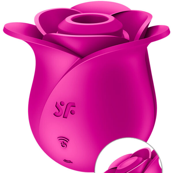 Stimulateur clitoridien Satisfyer Pro 2 Modern Blossom