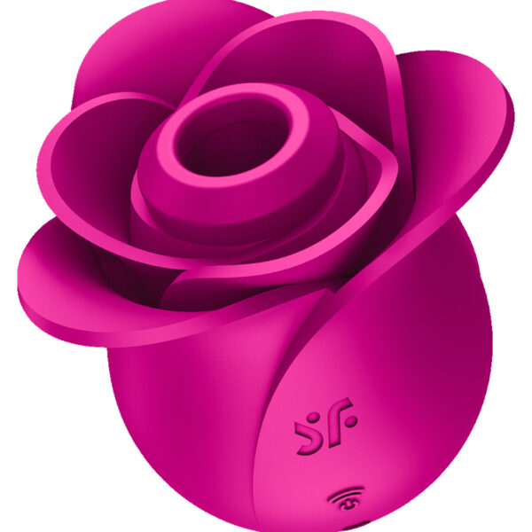 Stimulateur clitoridien Satisfyer Pro 2 Modern Blossom