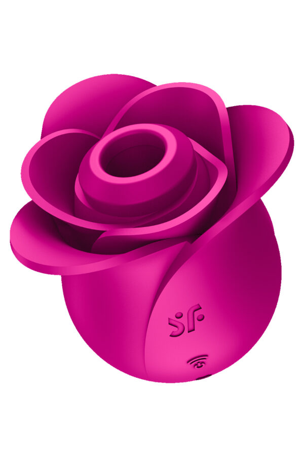 Stimulateur clitoridien Satisfyer Pro 2 Modern Blossom – Image 2