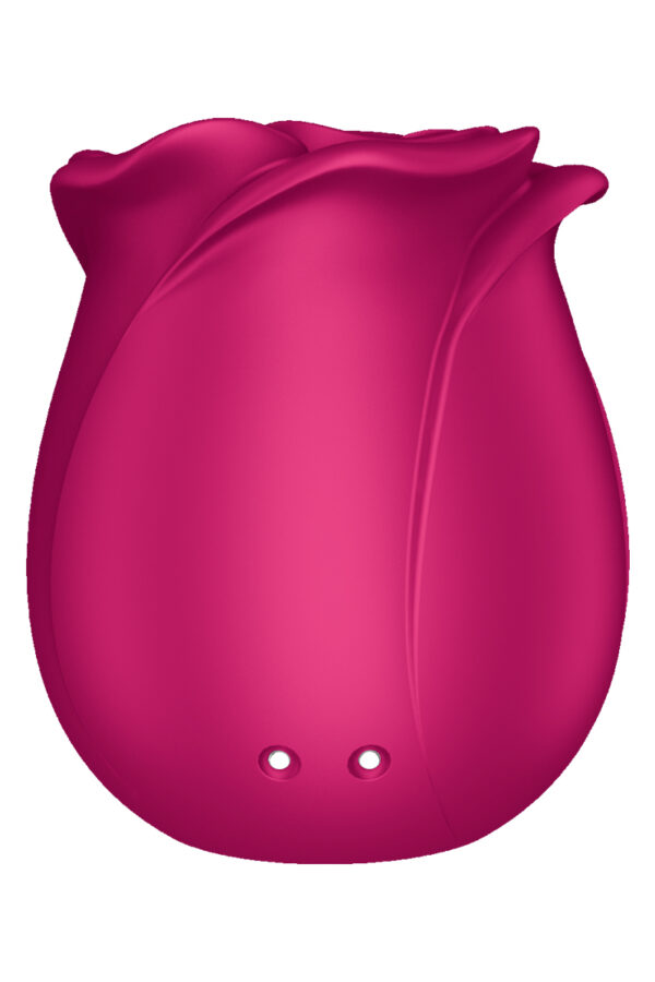 Stimulateur clitoridien Satisfyer Pro 2 Classic Blossom – Image 3