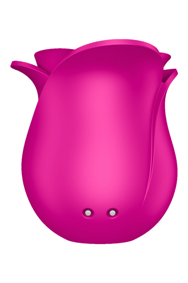 Stimulateur clitoridien Satisfyer Pro 2 Modern Blossom – Image 3