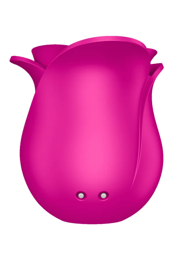 Stimulateur clitoridien Satisfyer Pro 2 Modern Blossom - 94edenstreet.com - sexshop en ligne