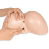 Masturbateur fessier Daphné – SilexD - 94edenstreet.com - sexshop en ligne