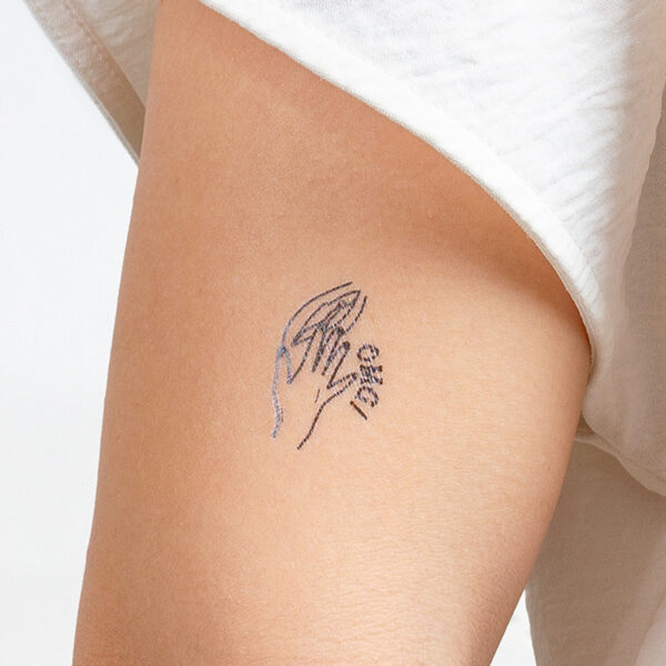 10 tatouages temporaires Kinky Collection – Secret Play